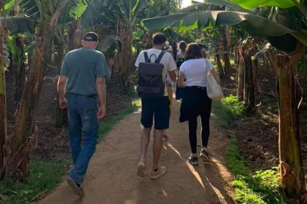 CAFÉ DA MANHÃ EM UMA FAZENDA